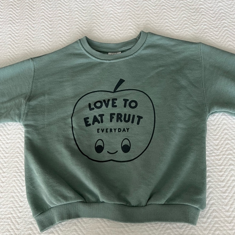 Zara Toddler sweater